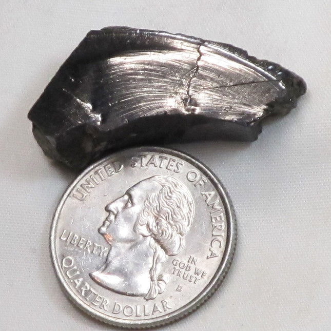 Elite Silver or Noble Shungite from Russia