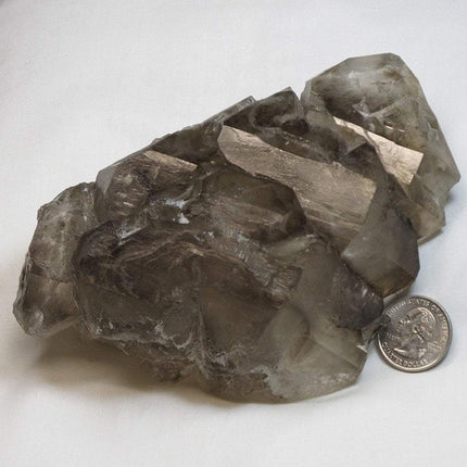 Smoky Quartz Crystal Elestial from Brazil