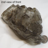 Smoky Quartz Crystal Elestial from Brazil