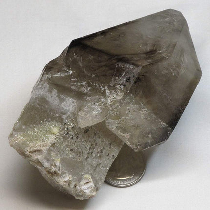 Smoky Quartz Crystal Sceptre Point from Brazil