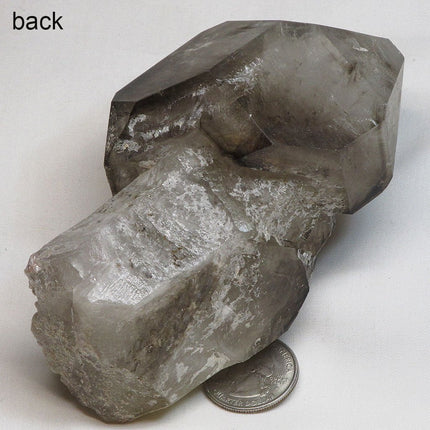 Smoky Quartz Crystal Sceptre Point from Brazil