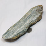 Large Rare Green Kyanite Blade from Tanzania