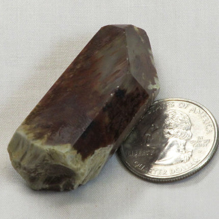 Rare Polished Red Amphibole Angel Wing Phantom Quartz Crystal