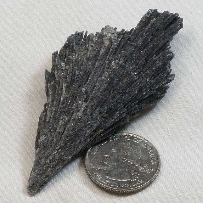 Black Kyanite Fan from Brazil