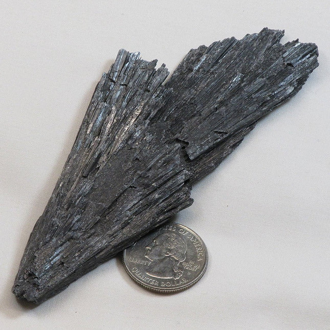 Black Kyanite Fan from Brazil