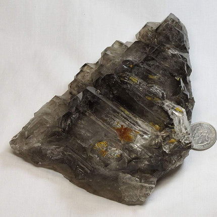 Smoky Quartz Crystal Skeletal Elestial from Brazil