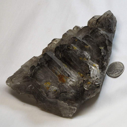 Smoky Quartz Crystal Skeletal Elestial from Brazil