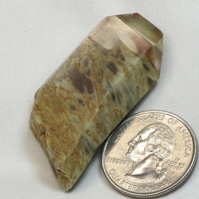 Rare Polished Angel Wing Phantom Quartz Crystal Tabby Point