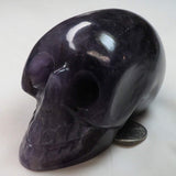 Carved Amethyst Skull | Blue Moon Crystals & Jewelry