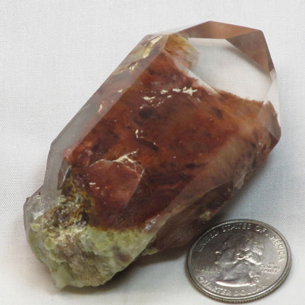 Rare Polished Amphibole Angel Wing Phantom Quartz Crystal
