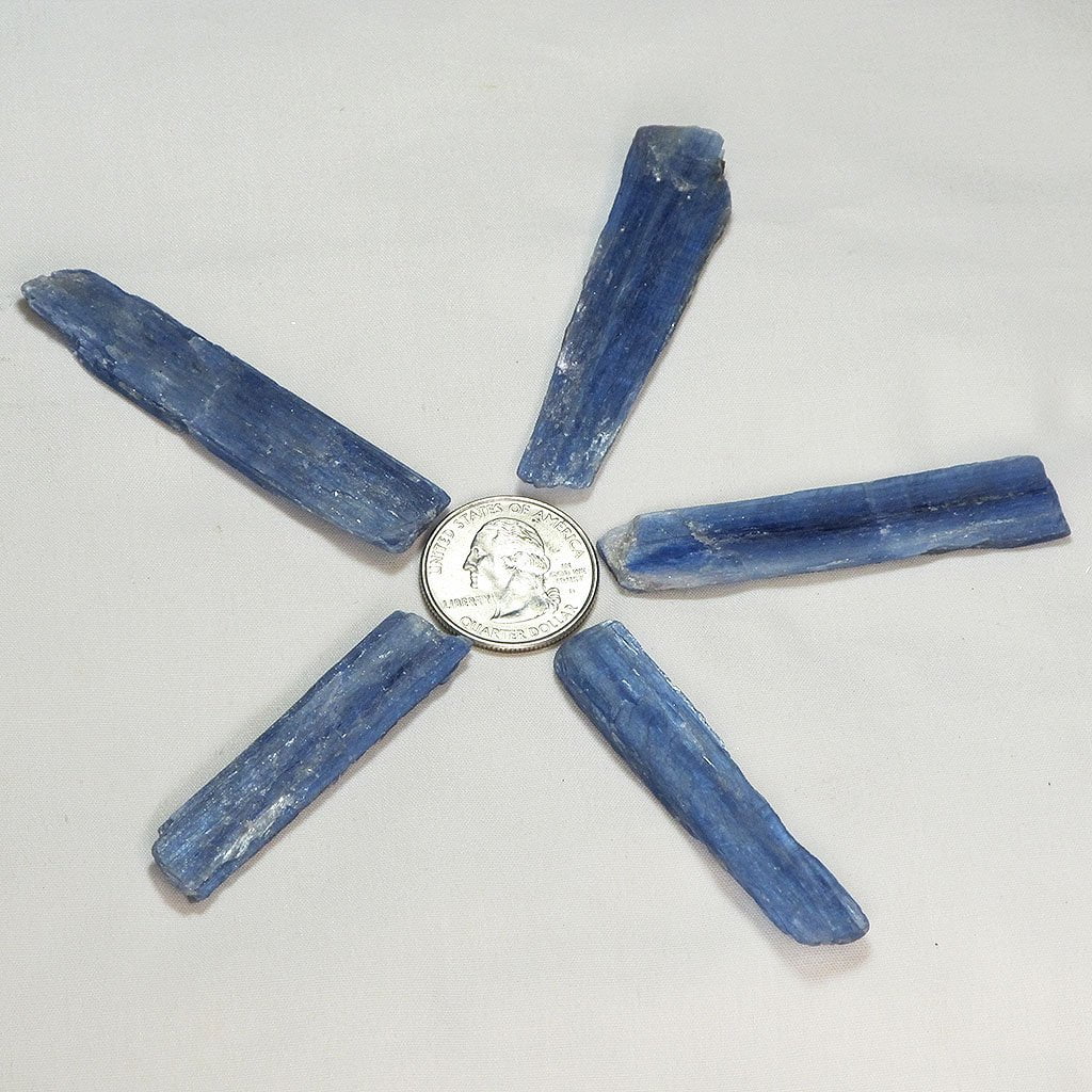 5 Gemmy Blue Kyanite Blades from Brazil | Blue Moon Crystals