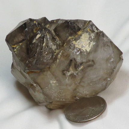 Smoky Quartz Crystal Elestial Sceptre Point | Blue Moon Crystals