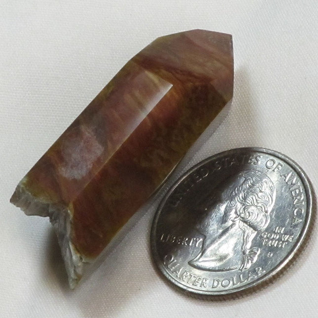 n8688 - Fantasma de ala de ángel anfíbol poco común