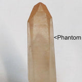 Tangerine Quartz Crystal Tabby Point with a Phantom