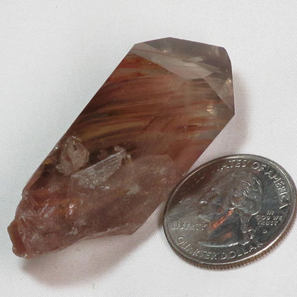 Rare Amphibole Angel Wing Phantom Quartz Crystal Point