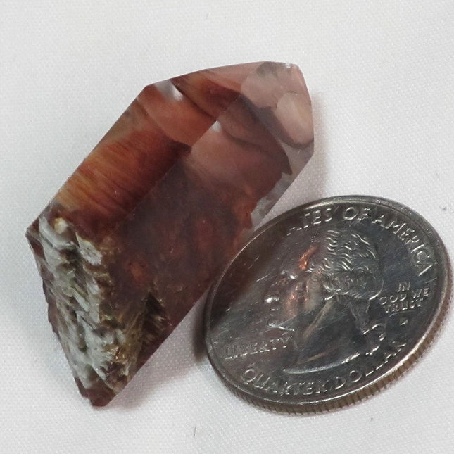 Rare Amphibole Angel Wing Phantom Quartz Crystal Point