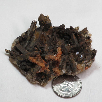 Arkansas Uncleaned Quartz Crystal Cluster with Adularia