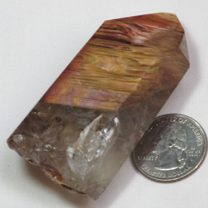 Rare Polished Amphibole Angel Wing Phantom Quartz Crystal