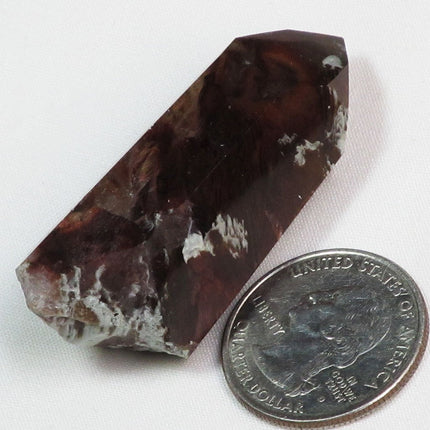 Rare Polished Amphibole Angel Wing Phantom Quartz Crystal