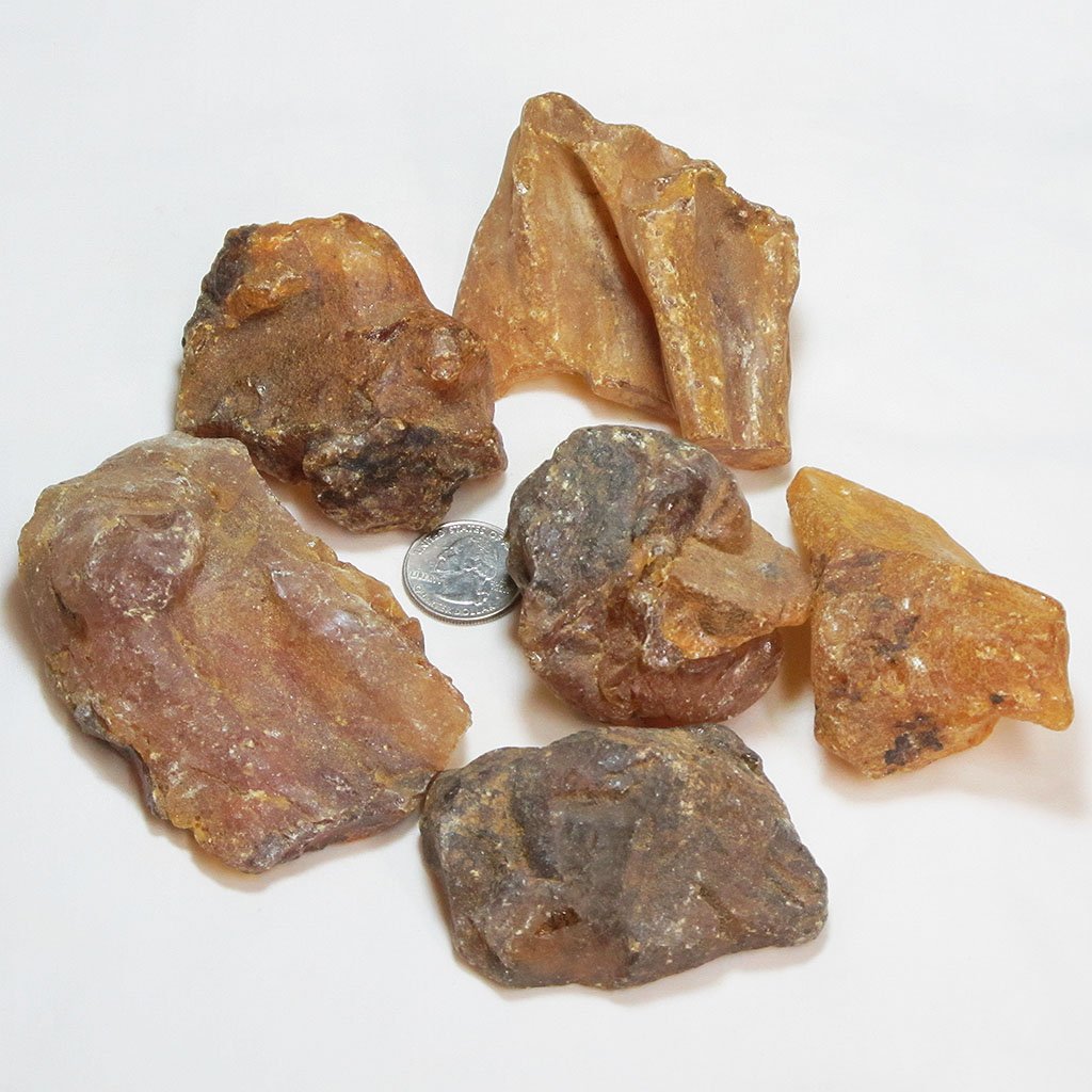 6 Copal Amber Pieces from Madagascar | Blue Moon Crystals