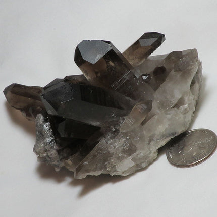 Natural Smoky Quartz Crystal Cluster | Blue Moon Crystals