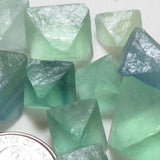1/4 Lb. Small Green and some Aqua Fluorite Octahedrons from China