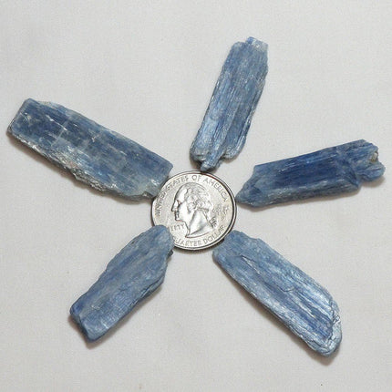 5 Blue Kyanite Blades from Brazil