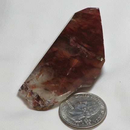 Rare Amphibole Angel Wing Phantom Quartz Crystal Point