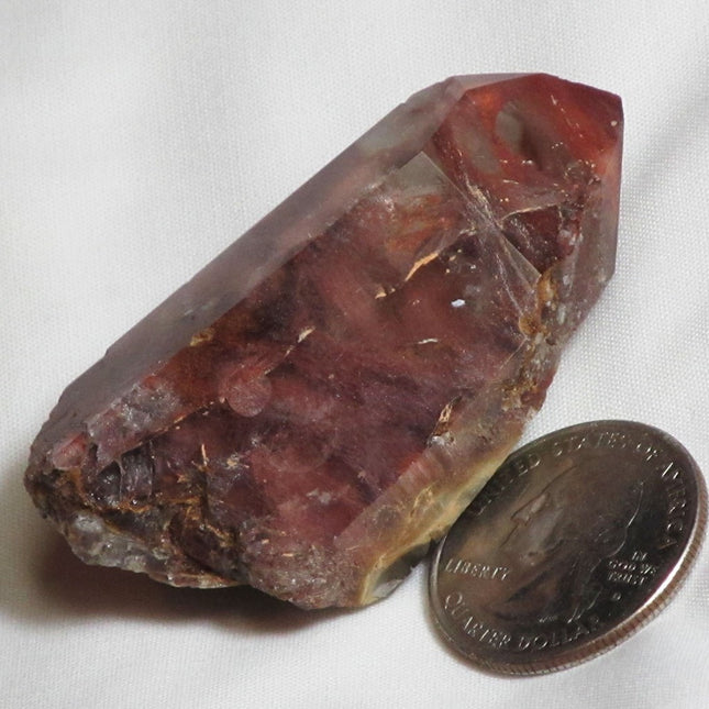 Rare Amphibole Angel Wing Phantom Quartz Crystal Point