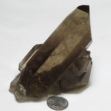 Smoky Quartz Crystal Cluster with Time-Link Activation