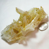 Lemon Healer Quartz Crystal Cluster from Arkansas