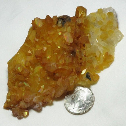 Natural Uncleaned Quartz Crystal Cluster from Arkansas