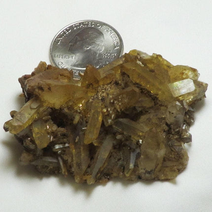 Arkansas Natural Uncleaned Quartz Crystal Cluster