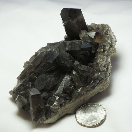 Smoky Quartz Crystal Cluster from Brazil