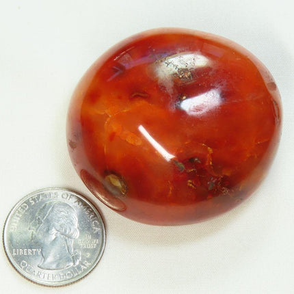 Polished Carnelian Agate Palm Stone from Madagascar