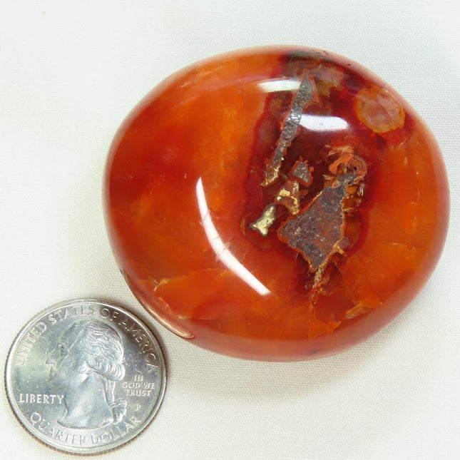 Polished Carnelian Agate Palm Stone from Madagascar